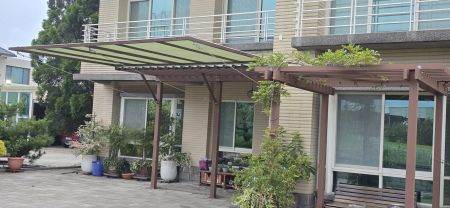 Sail Shade in Courtyard Greenery